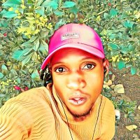 Manfred Mukerenge (@manfredmuk3863) 's Twitter Profile