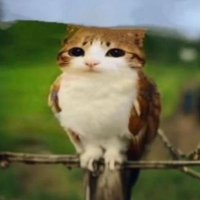 Skibidi Rizz (@skibidisigma725) 's Twitter Profile