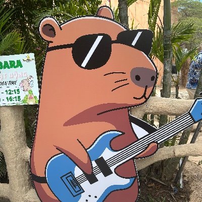 nico_cyndayooo's profile picture. 