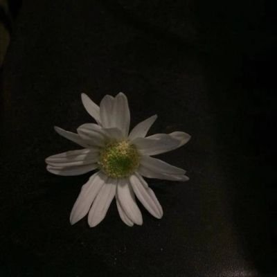 _nmmi0's profile picture. 