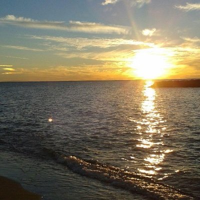 mojoe13x's profile picture. 
