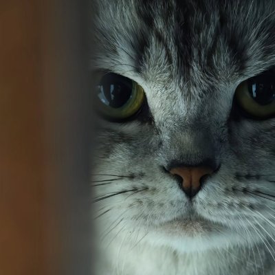 evevisuals_'s profile picture. 3d artist & video editor | milanote & audiio user