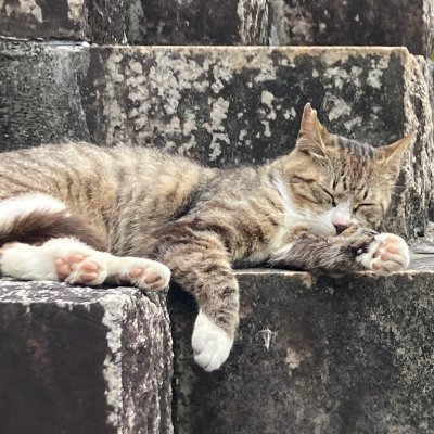 1615_cg's profile picture. 27卒 背景モデラー志望