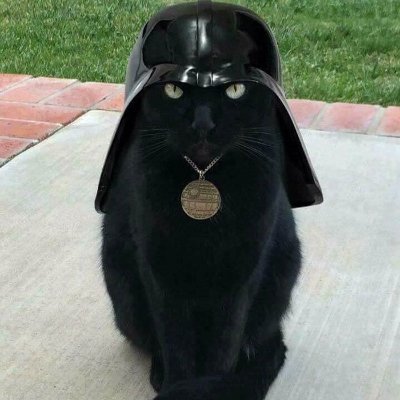 Whatever cunt theif is hacking this account
its monitored by may intel agencies
You are screwed
CEASE AND DESIST