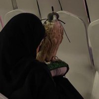 🪐 (@scr_774) 's Twitter Profile