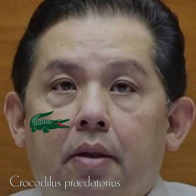 Suave_Tito87's profile picture. BBM Supporter…NO MORE.  Kapuy ngarud.