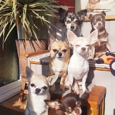 MorganFree91985's profile picture. 