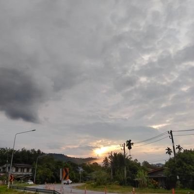 mameeperth's profile picture. #6CODE