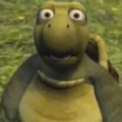 FrogSomber's profile picture. cs student