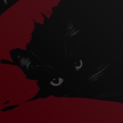 pibistars's profile picture. 21. 🍂 livros | the last of us | rapazeada | Duskwood