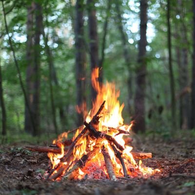 Servus_666's profile picture. Getting progressively sleazier