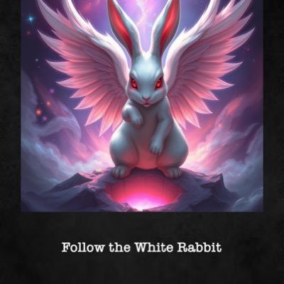 follow_whiterab's profile picture. Start Remembering. End IllusoryMedia lies. Put 2+2 together. WAKE UP!