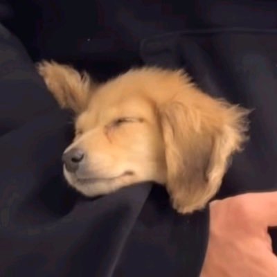 backzlide's profile picture. @fllsunz