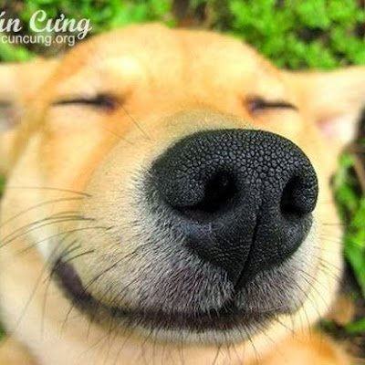nguyen_tin47858's profile picture. 