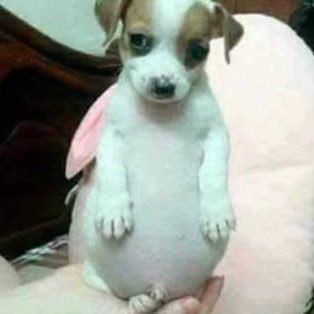 notyournickyy's profile picture. 