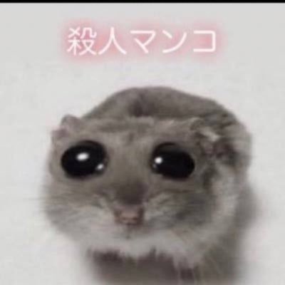 mausub114514's profile picture. 💍  @miniasfmagunise