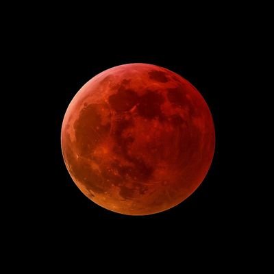 ayush_kalekar's profile picture. ⋆