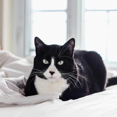 Blakele25169951's profile picture. 🎨 Creative soul | Believer in the power of imagination