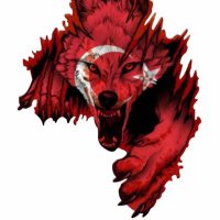 Kayra Han (@kayra53095351) 's Twitter Profile Photo Kayra Han (@kayra53095351) 's Twitter Profile Photo