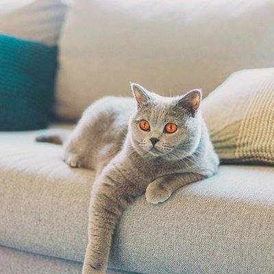 Living_life_215's profile picture. 💪 Mindset coach | Helping others unlock their potential