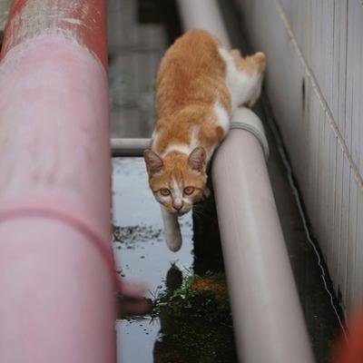 taylor_mcfaddin's profile picture. 🎨 Creative soul | Believer in the power of imagination