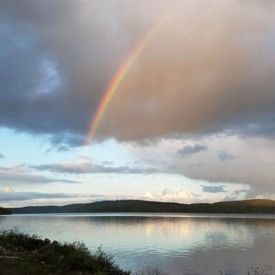 ju52604's profile picture. 