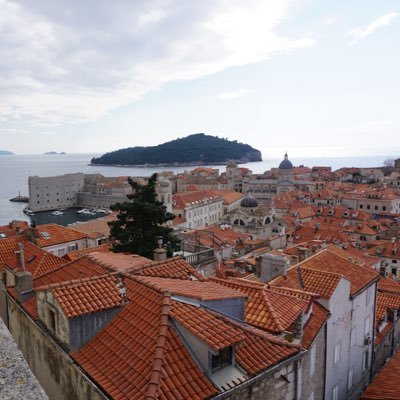 HunterRunk1's profile picture. 