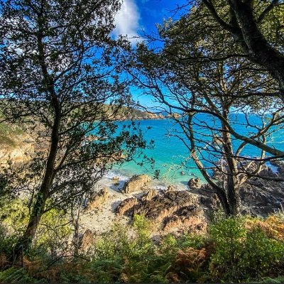Joyinevery61206's profile picture. Living in the channel islands it’s easy to find joy in everyday 😊PrintsAvailable 
email -liesja@yahoo.com #joy_ineveryday #guernsey #sark #herm#alderney#jersey