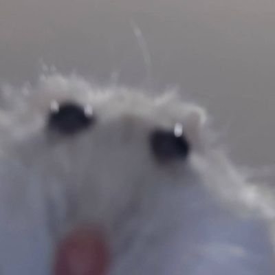pedrosteein's profile picture. Architect of voids, breaches, and other cosmic disasters. Life imitates art, sadly.
IG: @pedrocbrl