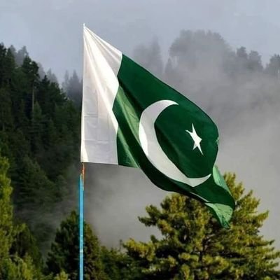 kashiwarriach37's profile picture. Personal