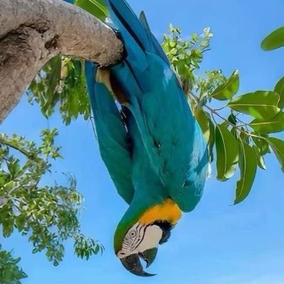 dumpieye's profile picture. 