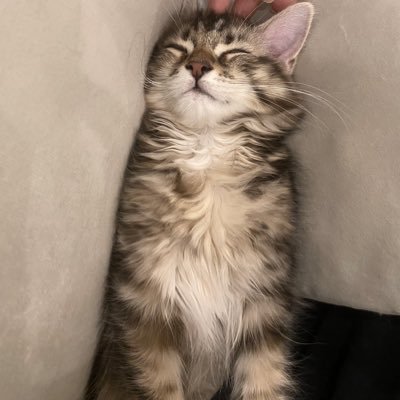 8__IIix's profile picture. 