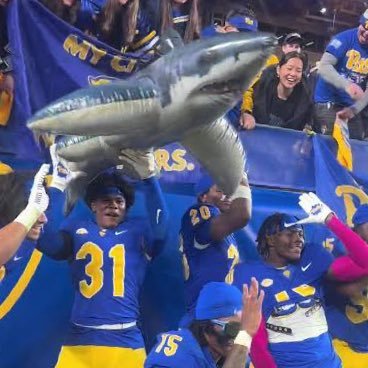 PittSharks's profile picture. 