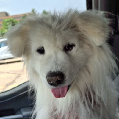 ThomasPain_6771's profile picture. NO DMs.  All DMs will be ignored.  I block all porn purveyors, porn followers and any porn bot/ porn person who "likes" posts.