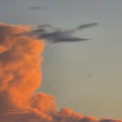 BeanForMe's profile picture. 20 | Aussie