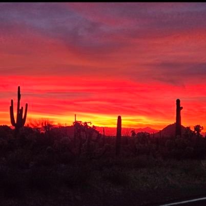 DavidDu13911426's profile picture. Man of Skill