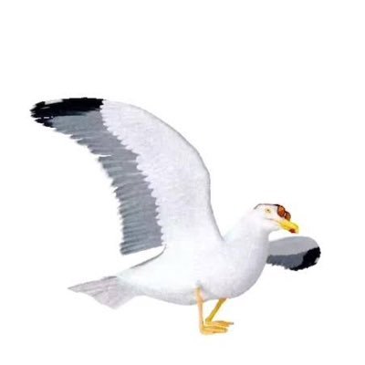 ソウルさんのプロフィール画像