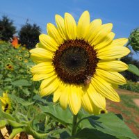 🌻かわつ🌻 (@eunwooooc_o) 's Twitter Profile