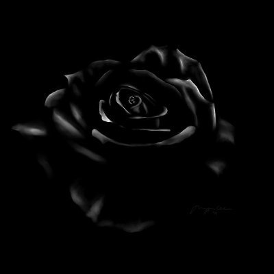 saral37574's profile picture. 