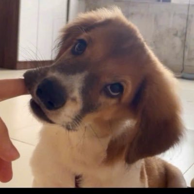 NhPanhvip2000's profile picture. Ngày Mai