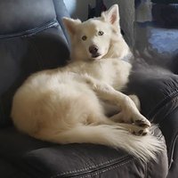 Loretta (@loretta3101311) 's Twitter Profile