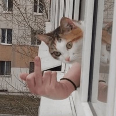 plamnsiukin's profile picture. 