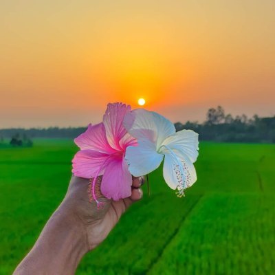 Ox_Kush's profile picture. onchain