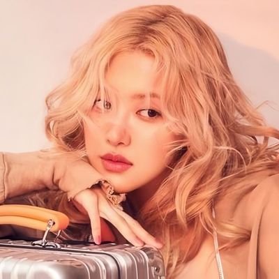 hqlcyon444's profile picture. 