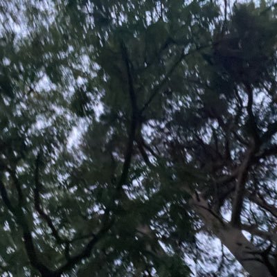 bimicro96's profile picture. love to admire alphas. only into findom around payday