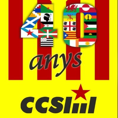 CCSI.
Associació Catalunya-Corsica.
Federació d'Entitats de la Mediterrània.
Plataforma de Solidaritat Catalunya Euskal Herria.
Suport Internacional Kanaky.