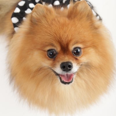 horry1670414's profile picture.