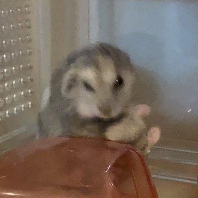 dgdb83's profile picture. 05