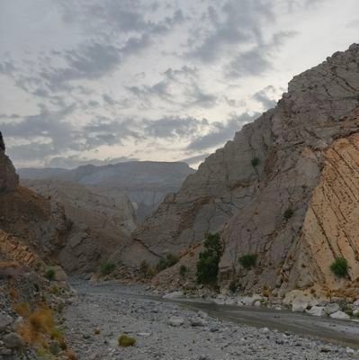 SaadRashid90's profile picture. 