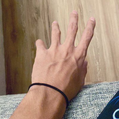 icebear4848's profile picture. womp womp